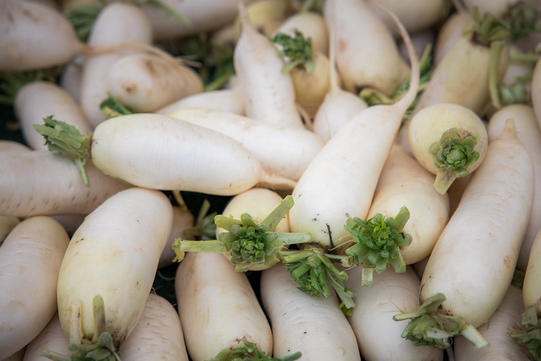 whole_daikon_radish