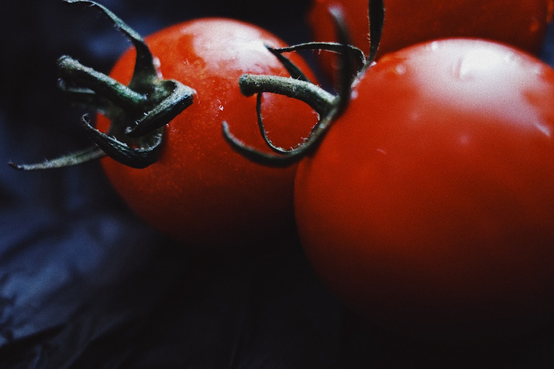 tomato_kitchen_cooking