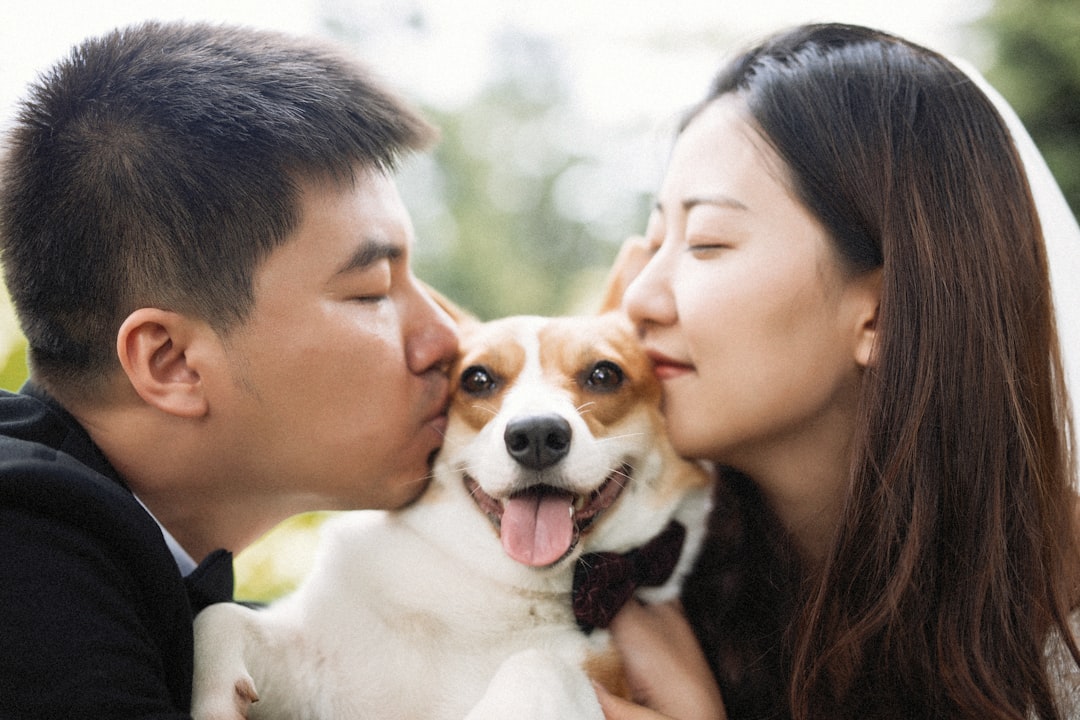 dog_human_mutual_trust_bond
