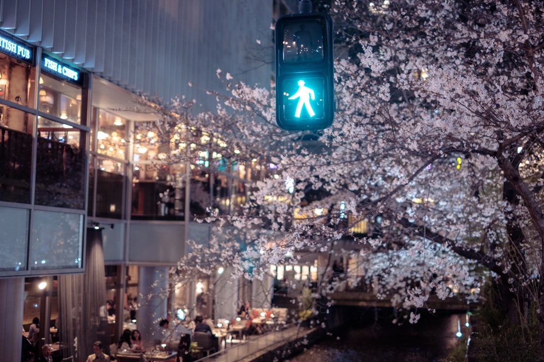 pedestrian_traffic_light_japan_walk