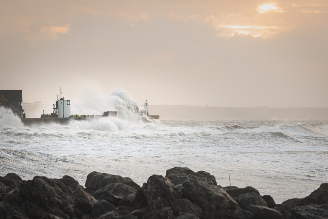 calendar_weather_season_typhoon